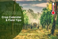 Summer Fertilization and Plant Protection Under High Temperatures: Essential Strategies for Farmers